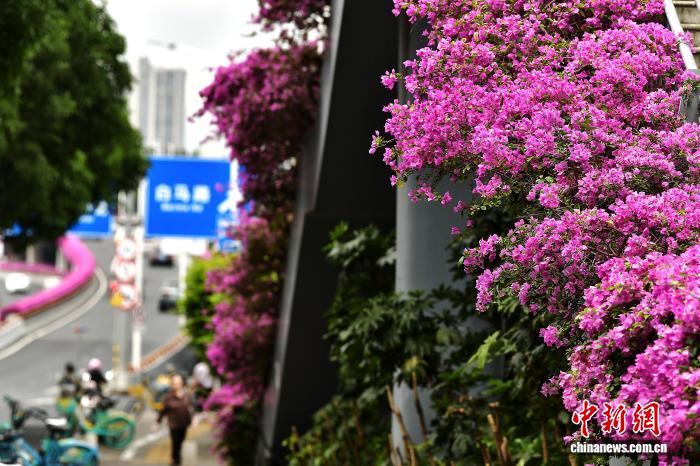 爱游戏yundatian